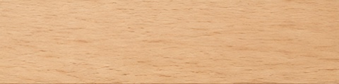 Beech sample